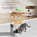 Smart WiFi Double-Bowl Automatic Pet Feeder